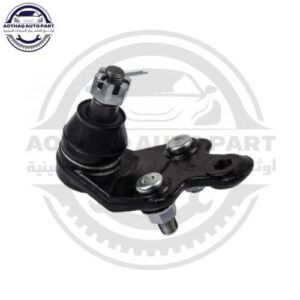 متجر الأسطورة